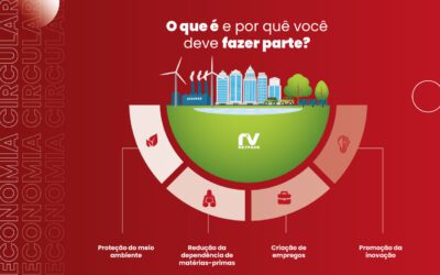 Economia circular: O que é e por quê você deve fazer parte?